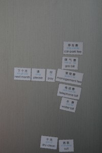 Fridge Lingo Magnets in use