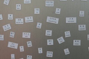 img_07621 Random collection of words from Fridge Lingo :: Set 1 - Talking to the Ayi